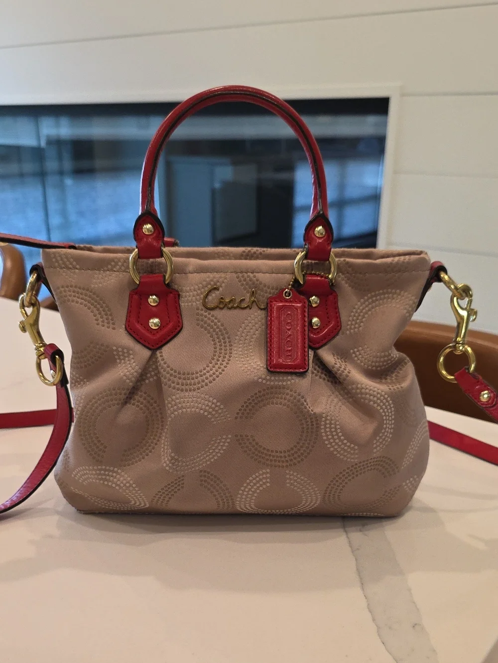 Coach F20343 Ashley Dotted Art Mini Tote